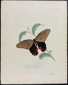 Donovan - Butterfly. 27