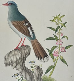 Original Watercolor of Magpie