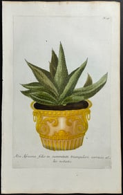 Weinmann - Aloe. 59