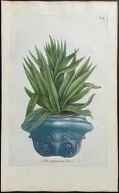 Weinmann - Aloe. 64