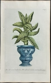 Weinmann - Aloe. 47