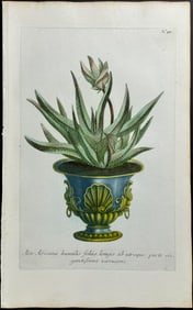 Weinmann - Aloe. 58