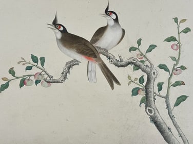 Original Watercolor of Red-whiskered Bulbul
