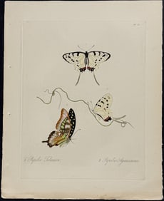 Donovan - Butterflies. 26