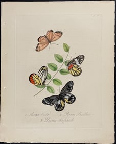Donovan - Butterflies. 30