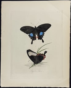 Donovan - Butterflies. 22