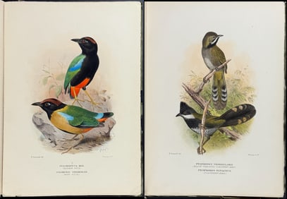 Mathews, Australia - 10 Original Parts with 57 Bird Lithographs