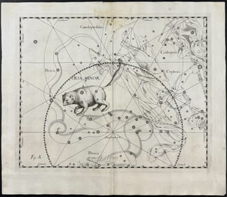 Hevelius - Constellation Chart: Ursa Minor