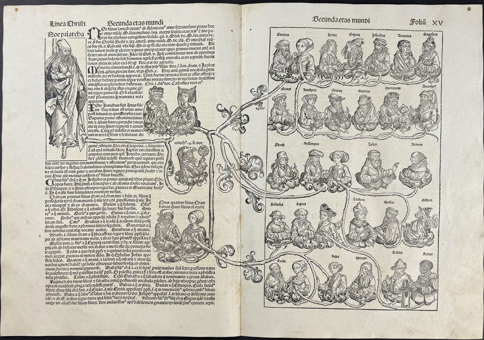 Schedel, pub. 1493 - Lineage Chart / Verso: Depiction of Genesis 9:20-27, Drunkenness of Noah (1 of 2)