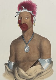 Lewis - Waa-Pa-Laa or the Playing Fox, Prince of the Fox Tribe