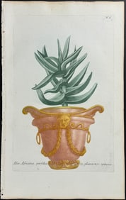 Weinmann - Aloe. 61