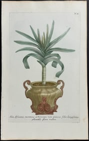 Weinmann - Aloe. 60