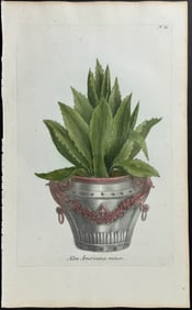 Weinmann - Aloe. 63