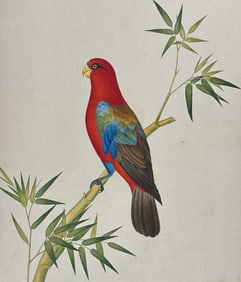 Original Watercolor of Parrot