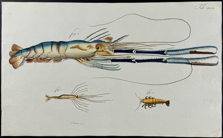 Herbst - Lobster & Crustaceans