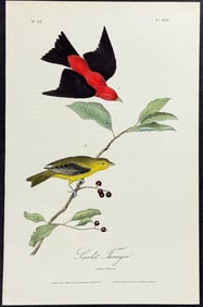 Audubon - Scarlet Tanager. 209