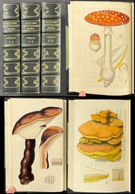 Greville's Scottish Cryptogramic Flora - 6 Volumes bound to 3 with 360 Fungi Engravings