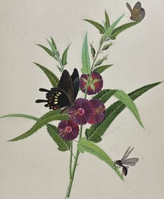 Original Watercolor of Wasp, Butterfly, & Flower