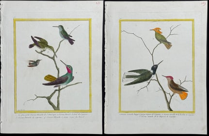 Martinet & Buffon - Pair of Hummingbird or Colibri Engravings