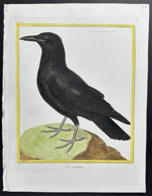 Martinet & Buffon - Raven. 495