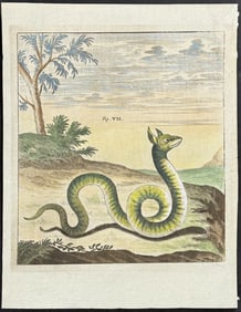 Scheuchzer & Van der Aa - Serpent or Eared Snake. 7