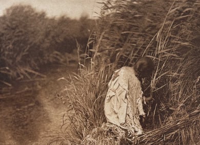 Edward Curtis - Cutting Rushes - Mandan