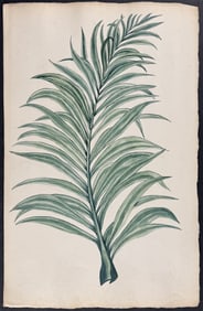 Original Watercolor of Palm Leaf