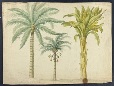 Original Watercolor of Palm Trees