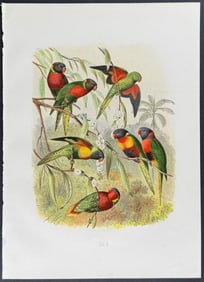 Reichenow - Parrots & Lories. 8