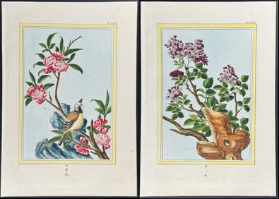 Buchoz - 4 Engravings of Flowers with Bird or Butterfly