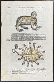 Pare, pub. 1664 - Animal Monstrosities