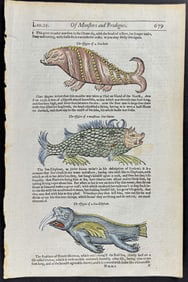 Pare, pub. 1664 - Sea Monsters