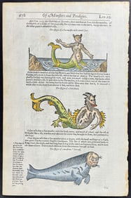 Pare, pub. 1664 - Merman (Mermaid) & Sea Monsters