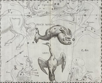 Hevelius - Constellation Chart: Piscis Notus, Grus