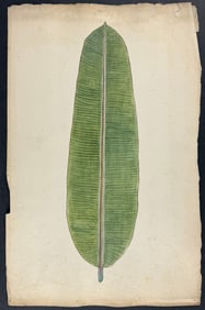 Original Watercolor of Palm Leaf