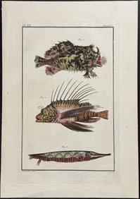 Buchoz - Frogfish, Scorpionfish. 7