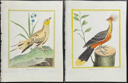 Martinet & Buffon - 10 Bird Engravings (Chicken, Pheasant, Pigeon, Peacock, Grouse)