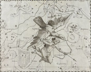 Hevelius - Constellation Chart: Aquila, Antinous