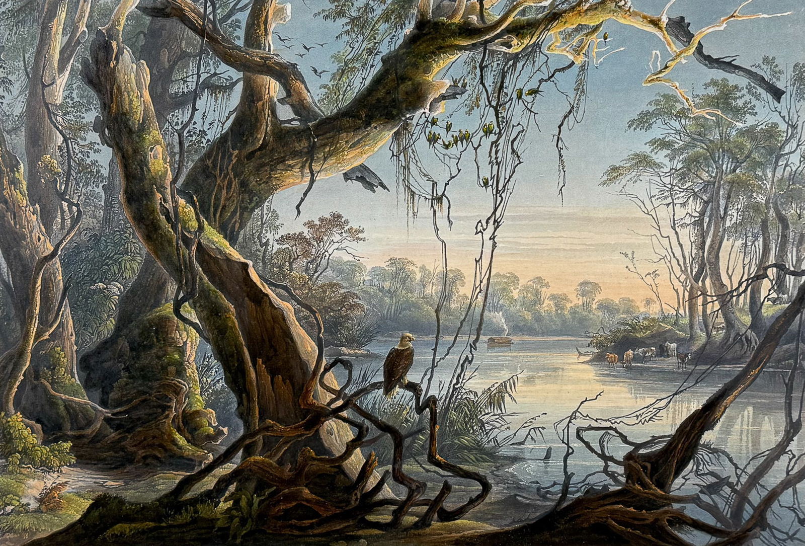 Karl Bodmer - Fox River, Indiana with Carolina Parrots (Extinct) & Bald Eagle. 5 (1 of 2)