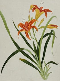 Original Watercolor of Lily
