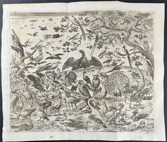 Zahn - Birds including Birds of Pardise, Heron, Peacock, Ostrich, Owl, Hoopoe, Parrot, Turkey,