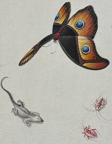 Original Watercolor of Butterfly, Lizard, & Insects
