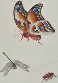 Original Watercolor of Dragonfly, Moth, & Cricket