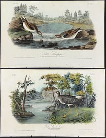 Audubon - 4 Snipe & Sandpiper Lithographs