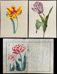 Five Original Watercolors of Tulips