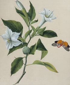 Original Watercolor of Trumpet Flower & Lanternfly