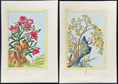 Buchoz - 4 Engravings of Flowers with Birds or Insects