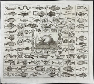 Zahn - Tableau of Fish & Sea Life