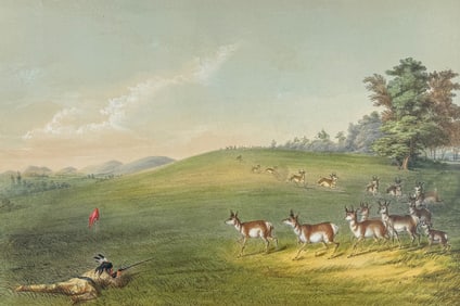 Catlin, On Card - Antelope Shooting