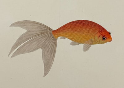 Original Watercolor of Goldfish